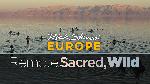 Rick Steves' Europe Remote Sacred Wild Book 